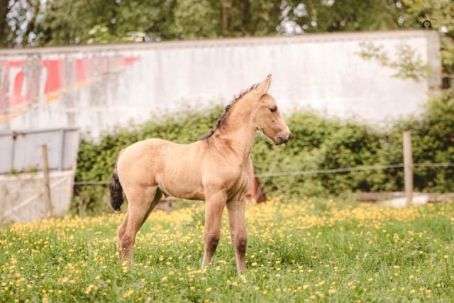 0A8A6102   Moyenne